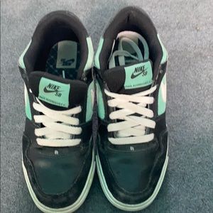Nike SB Paul Rodriguez 2.5
